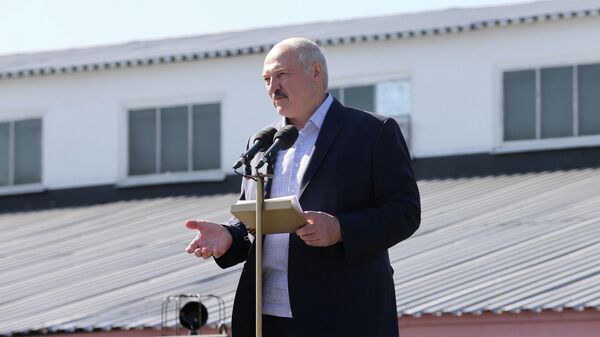 Президент Белоруссии Александр Лукашенко во время выступления на Минском заводе колесных тягачей