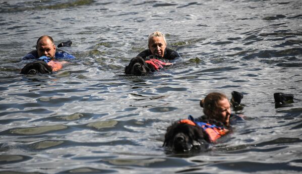 Сотрудники добровольного отряда Соттер с собакой-водолазом во время тренировок на поисково-спасательной станции Строгино