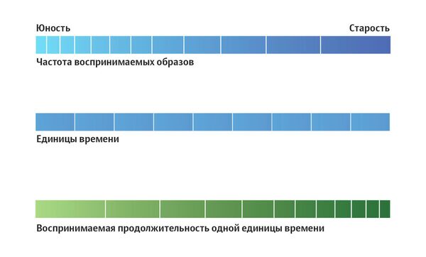 Почему с возрастом время идет быстрее?