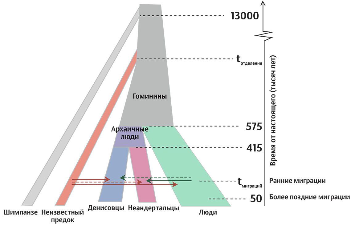 Модель древних популяций - РИА Новости, 1920, 07.02.2025