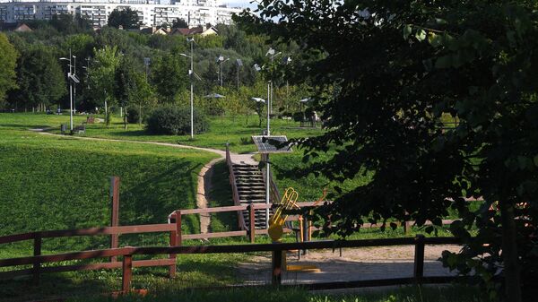 Парк в Москве 
