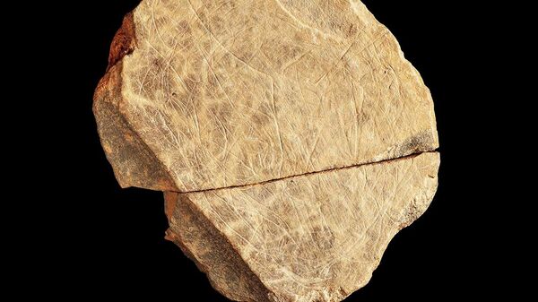 Археологи обнаружили каменные фрагменты, которые могут быть самыми ранними произведениями искусства на Британских островах