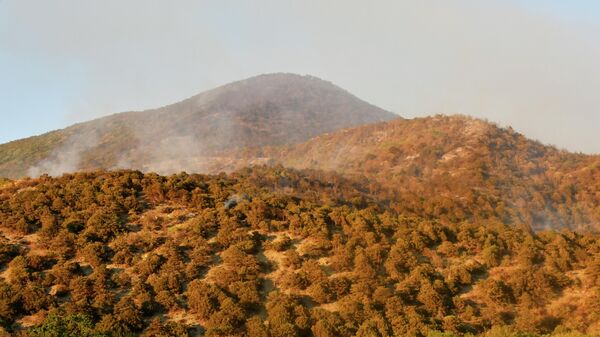 Дым от лесных пожаров в заповеднике Утриш недалеко от Анапы