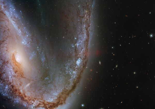 Искаженная галактика галактика NGC 2442 в созвездии Летучая Рыба