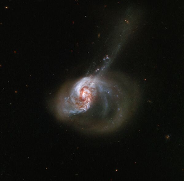 Пекулярная спиральная галактика с перемычкой NGC 1614 в созвездии Эридан