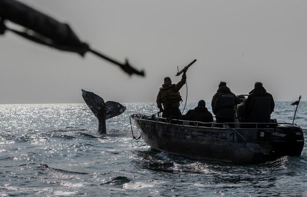 Китобои во время охоты на кита в Беринговом проливе