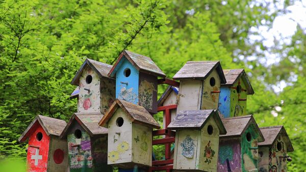 Домик для птиц на территории одного из московских парков