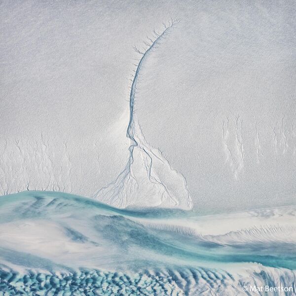 Mat Beetson. Работа победителя конкурса Australian Geographic Nature Photographer of the Year 2020 Mat Beetson. Работа победителя конкурса Australian Geographic Nature Photographer of the Year 2020