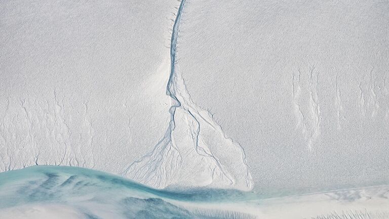 Mat Beetson. Работа победителя конкурса Australian Geographic Nature Photographer of the Year 2020