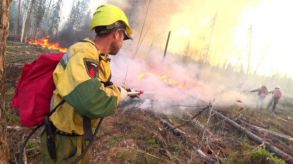 Сотрудники Авиалесоохраны проводят противопожарные мероприятия для препятствия распространения лесных пожаров в Красноярском крае. Стоп-кадр видео