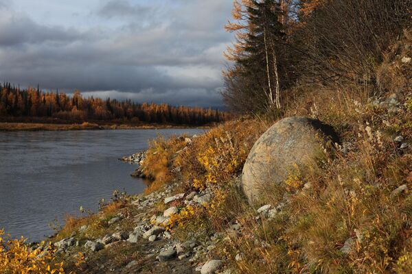 Река Собь в районе поселка Харп в Приуральском районе Ямало-Ненецкого автономного округа России