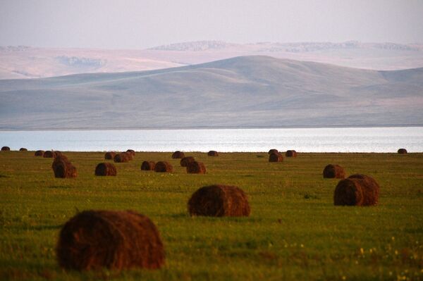 Стога сена на полях в Республике Хакасия