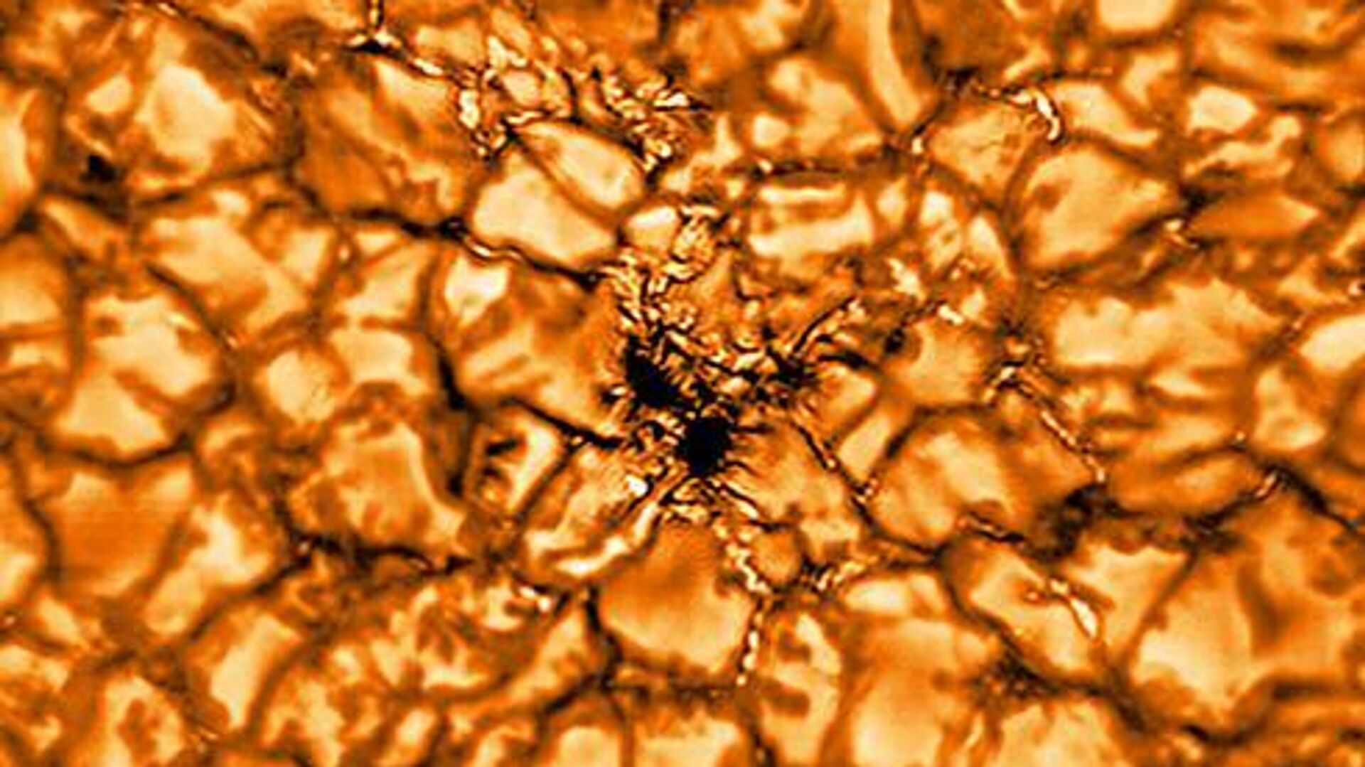 Самое детальное изображение структуры магнитных полей Солнца, полученное телескопом GREGOR - РИА Новости, 1920, 02.09.2020