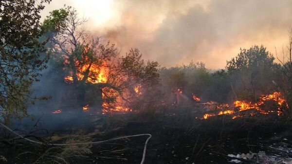 Тушение ландшафтных пожаров в Ростовской области