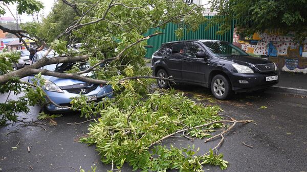 В Казани шквалистый ветер повалил  несколько деревьев и повредил крыши