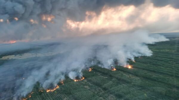 Тушение пожара в Ростовской области силами армейской авиации ЮВО