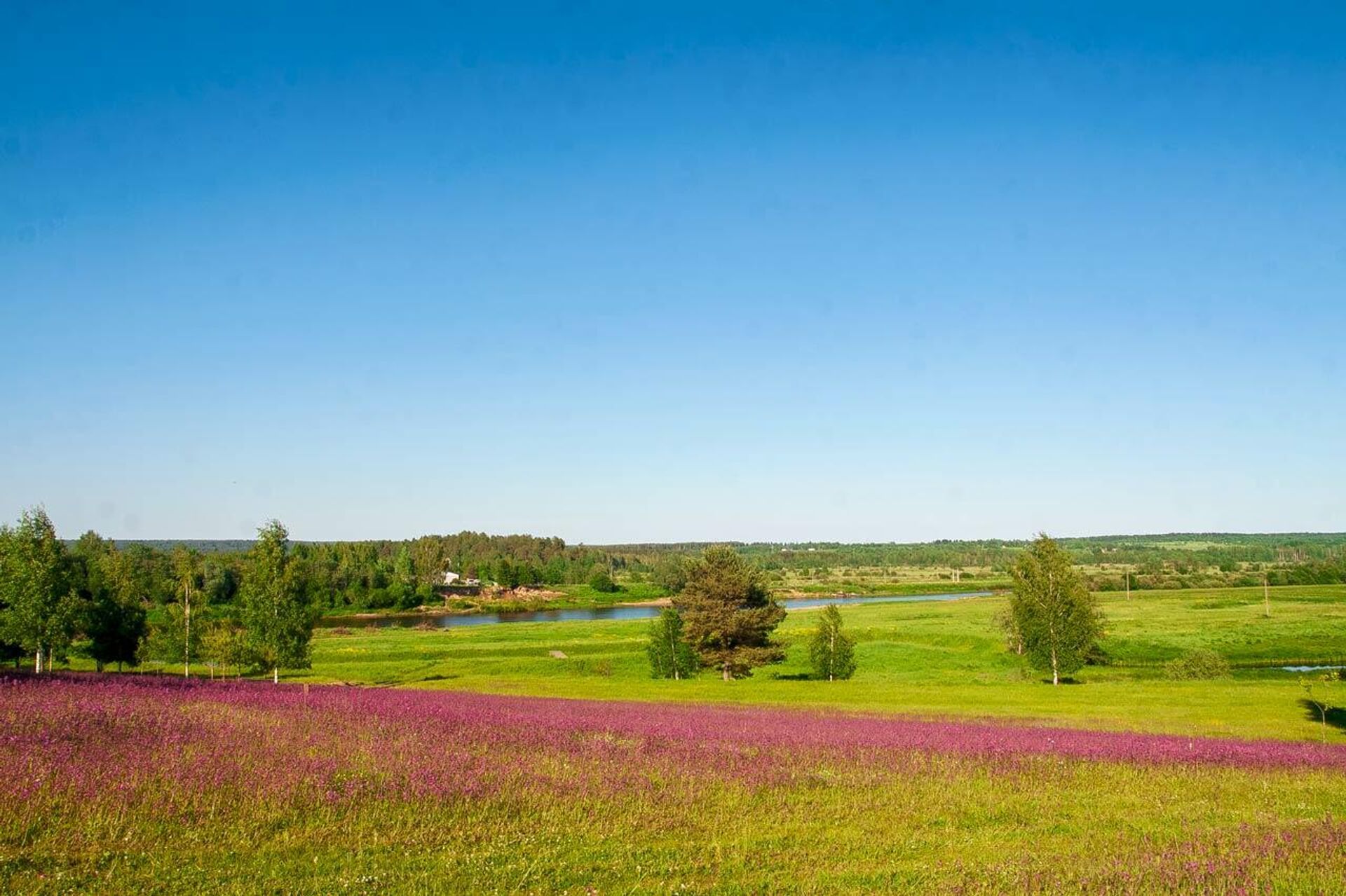 Фото любытино хутор