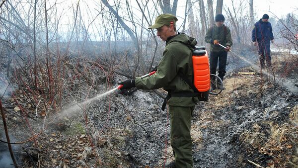 Сотрудники противопожарной службы тушат лесной пожар