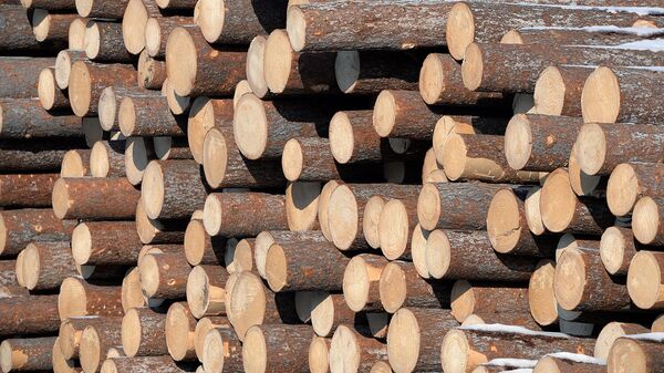 Склад древесины