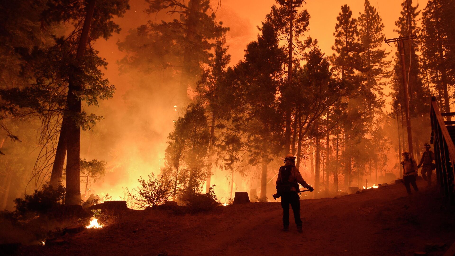 Пожарные во время тушения лесного пожара в штате Калифорния - РИА Новости, 1920, 12.09.2020