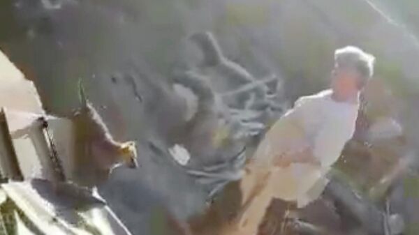 Жительница Алтайского края, убивавшая собак. Стоп-кадр из видео