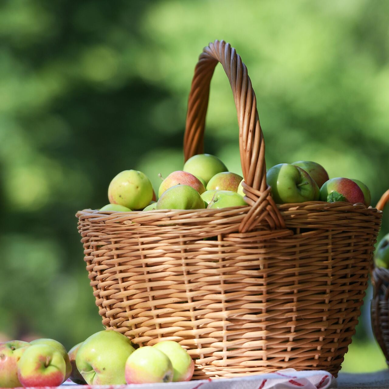 Почему люди не должны есть яблоки до яблочного спаса: причины и последствия