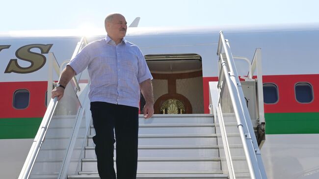 Президент Белоруссии Александр Лукашенко в аэропорту Сочи