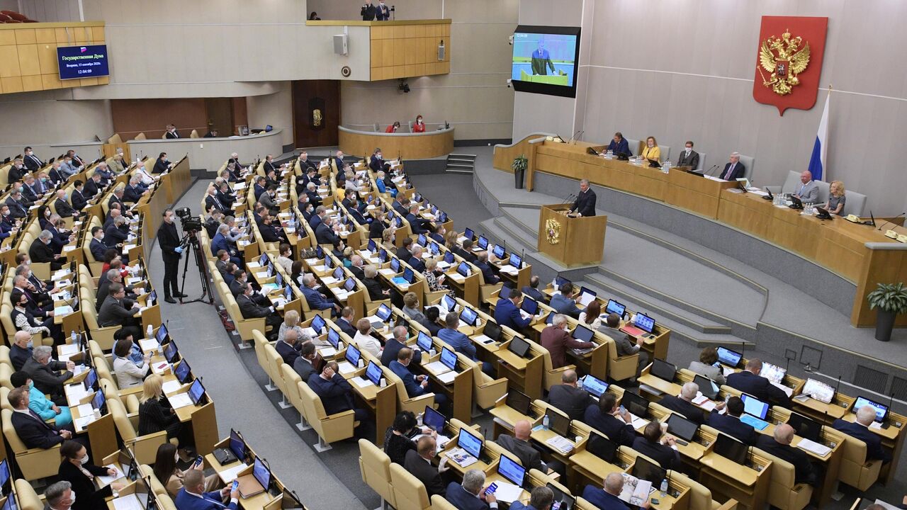 В Госдуме поддержали проект о допобразовании для мам в декрете - РИА  Новости, 16.09.2020