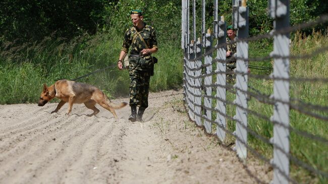 Военнослужащие погранзаставы Брест с собакой охраняют белорусско-польскую границу у города Брест