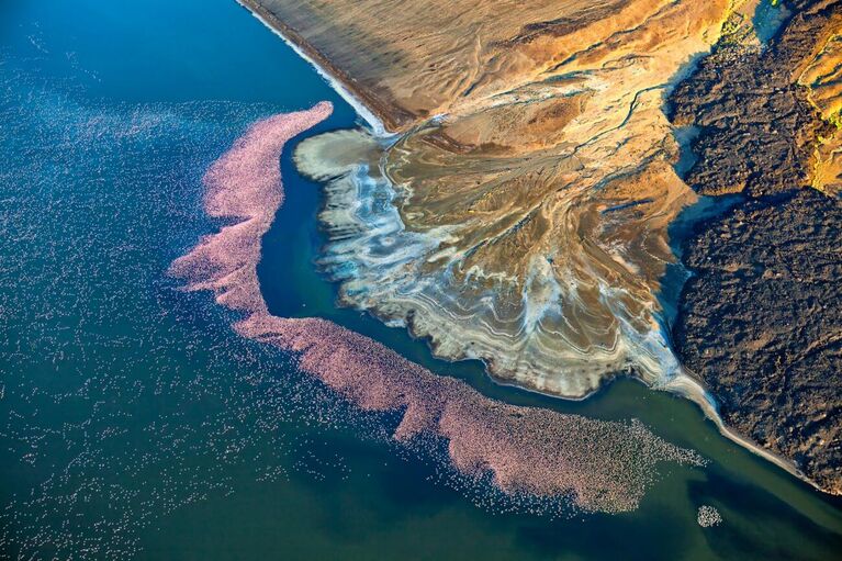 Martin Harvey. Работа победителя конкурса Drone Photo Awards 2020