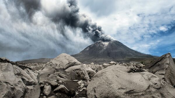 Эксперт рассказал об опасности попадания пепла вулкана в двигатель самолета