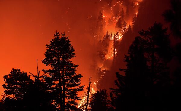 Лесной пожар недалеко от Сидар-Спрингс в Национальном заповеднике Анджелес, штат Калифорния
