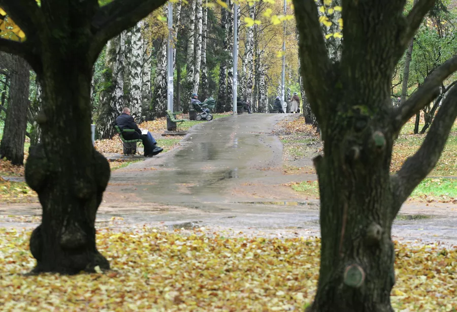 Парковая зона у Северного речного порта в осенний, пасмурный день. Парковая зона у Северного речного порта в осенний, пасмурный день.