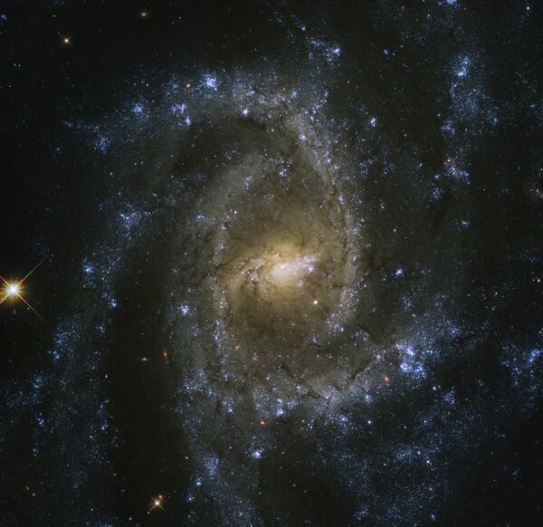 Спиральная галактика с перемычкой (SBc) NGC 2835 в созвездии Гидра
