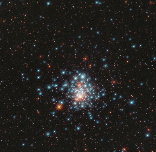 Рассеянное скопление NGC 1805  в созвездии Золотая Рыба