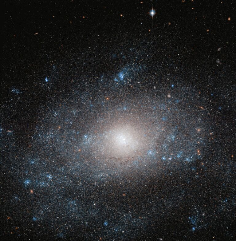 Спиральная галактика NGC 5585 в созвездии Большая Медведица