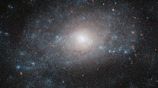 Спиральная галактика NGC 5585 в созвездии Большая Медведица