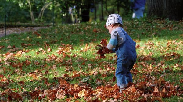 Ребенок гуляет в Приоратском парке города Гатчина под Санкт-Петербургом