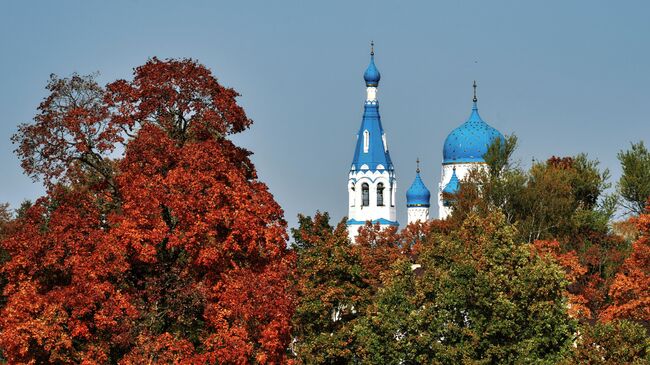 Гатчинский Покровский собор (собор Покрова Пресвятой Богородицы) в Гатчине Ленинградской области