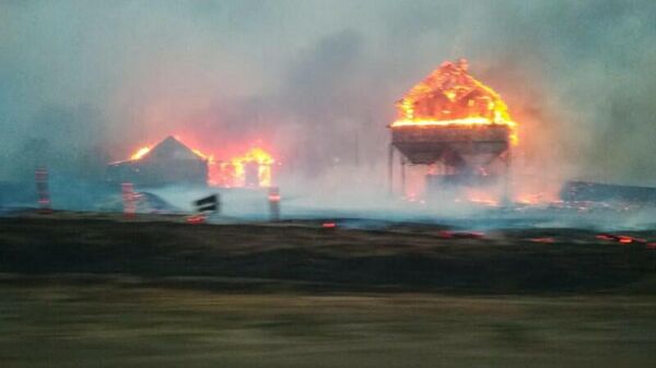 Пожар из-за упавшего на ЛЭП дерева в селе Николаевка Воронежской области