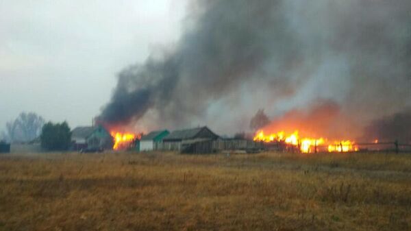 Пожар из-за упавшего на ЛЭП дерева в селе Николаевка Воронежской области