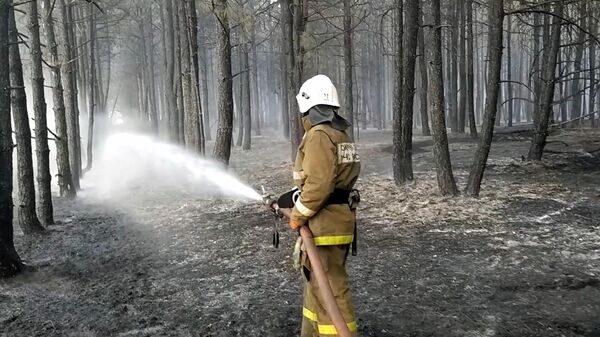 Сотрудник МЧС РФ во время ликвидации лесных пожаров в Цимлянском районе Ростовской области