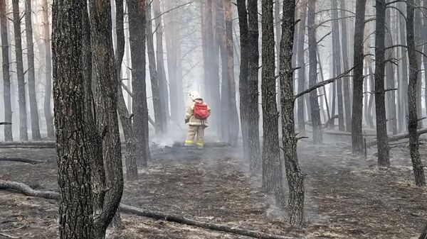 Сотрудник МЧС РФ во время ликвидации лесных пожаров
