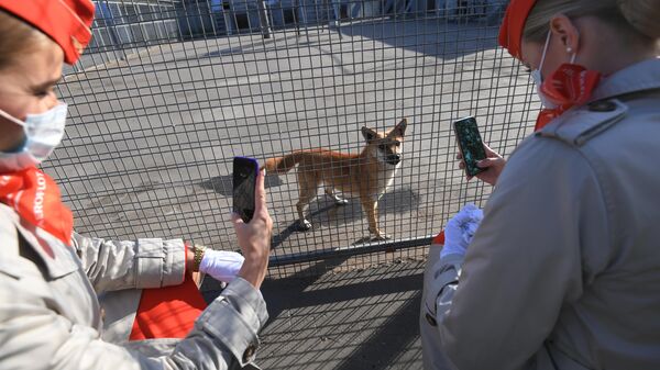Сотрудницы Аэрофлота у вольера со служебными собаками посещения кинологического подразделения авиакомпании Аэрофлот в аэропорту Шереметьево