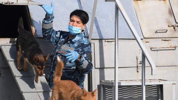 Кинолог во время занятий со служебными собаками кинологического подразделения авиакомпании Аэрофлот в аэропорту Шереметьево