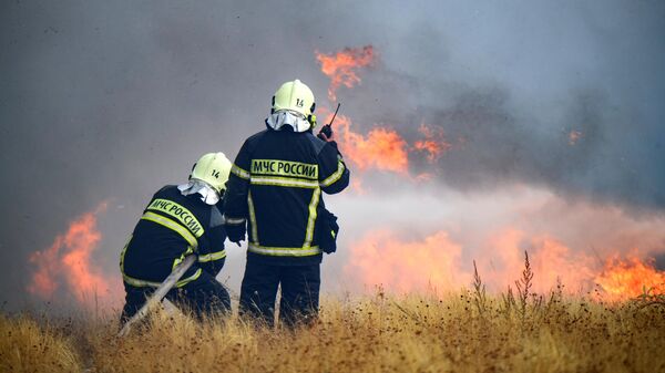 Природный пожар рядом с экопарком в Оренбурге тушат 79 спасателей