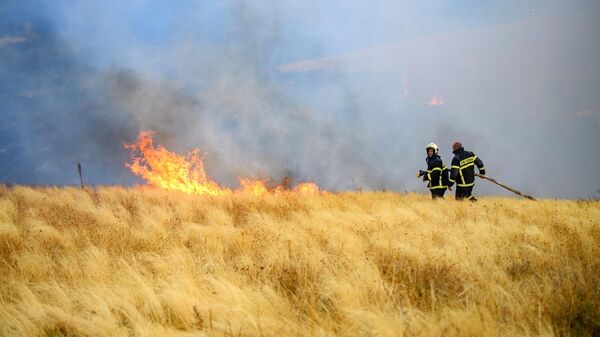 Сотрудники МЧС РФ тушат лесной пожар в Воронежской области