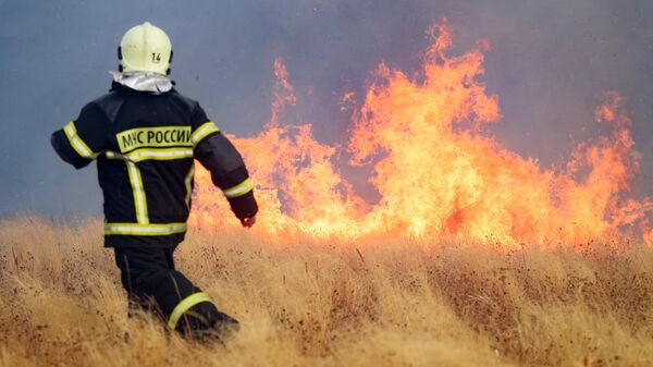 В Волгограде горят сухая трава и камыш на площади пятнадцати гектаров