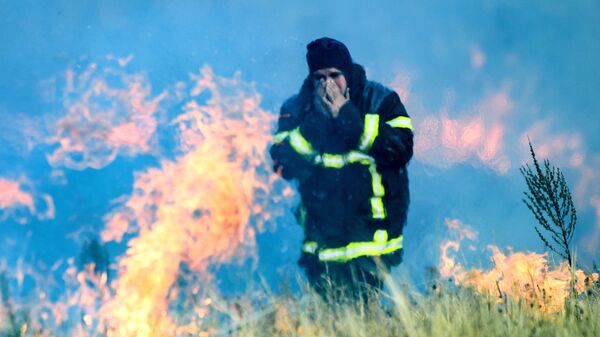 Сотрудник МЧС РФ на месте лесного пожара в Воронежской области
