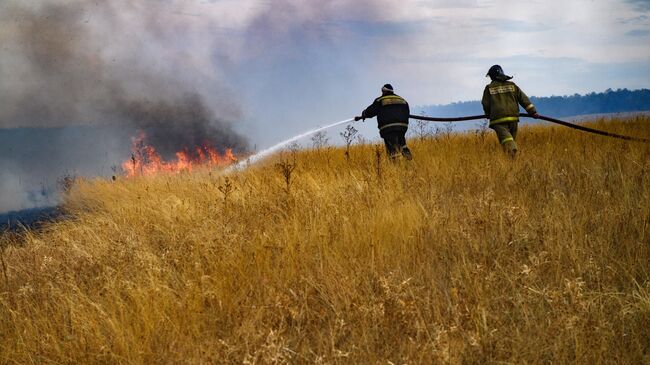 Сотрудники МЧС РФ тушат лесной пожар в Воронежской области